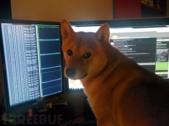 Shiba Inu Programmer