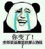 Panda crying