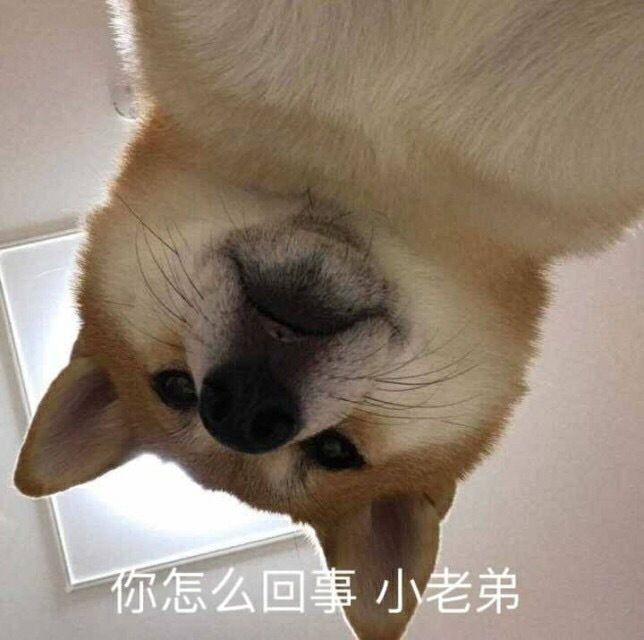 Upside-down dog