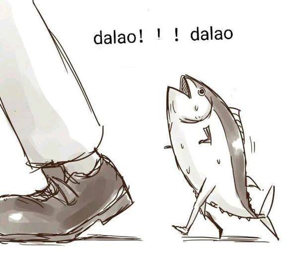 dalao