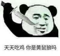 Panda eating chicken meme