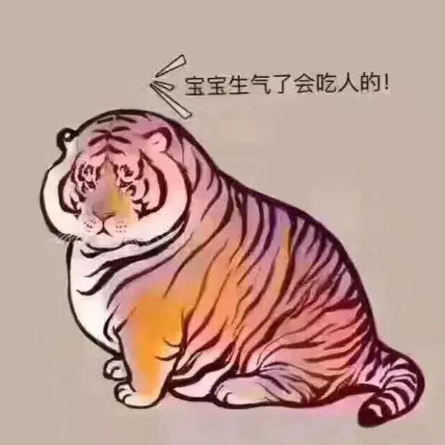 Angry Tiger