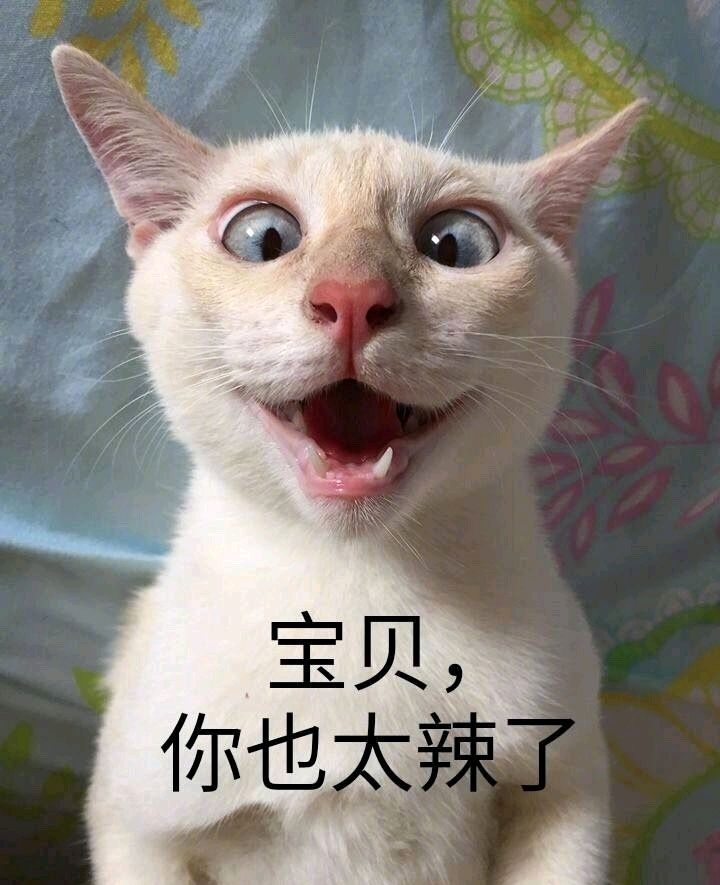 Surprised kitty!