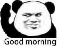 Good Morning Panda