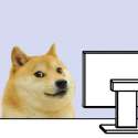 Doge at Computer