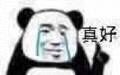 Panda person