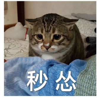 Sad Cat